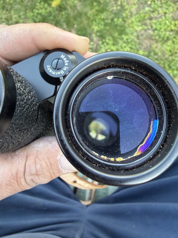 Carl Zeiss Dialyt 8x30b 8 X 30 B Binoculars Germany With Case Strap 