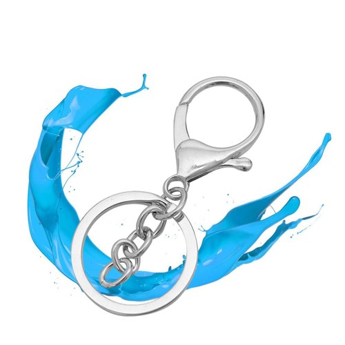 10 PCS Alloy Lobster Buckle Small Claw Keychains Clasps Ring Keyring - Bild 5 von 12