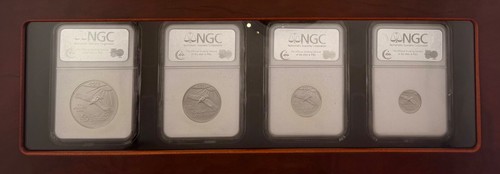 2008 AMERICAN PLATINUM EAGLE 4 COIN SET NGC MS70 EARLY RELEASES - Picture 5 of 7
