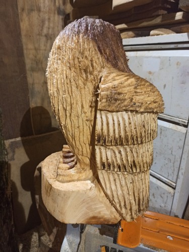 KETTENSÄGE SCHNITZEULE GROSSE GESCHENKIDEE ULME HOLZ HAUS GARTEN SKULPTUR KUNSTHANDWERK - Bild 5 von 7