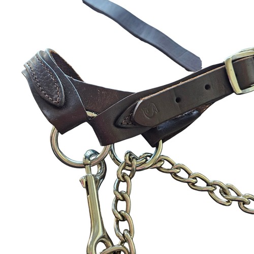 Flat Leather Show Calve Halter By Sullivan Supply - Picture 3 of 8