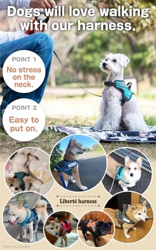 Dog Harness No Pull Name Plate Attachable (X-Large, 28 X-large Cerulean Blue