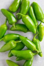 JALAPENO PEPPERS 10 VEGETABLE SEEDS FREE USA SHIPPING