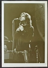 1986 Jim Morrison The Doors Original David Sygall 6x9 '68 Fillmore Concert Photo