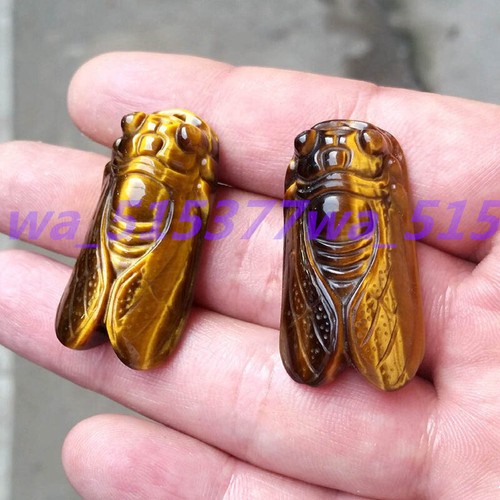 Colgante de cristal de cuarzo piedra de tigre natural tallado cigarra curación reiki - Imagen 21 de 24