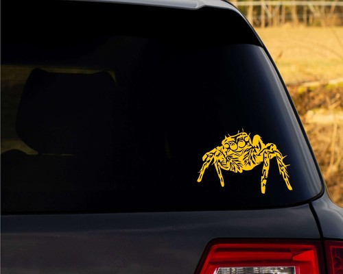 Jumping Spider Decal, Vinyl Laptop Sticker, Cute Arachnid Sticker - Picture 19 of 45