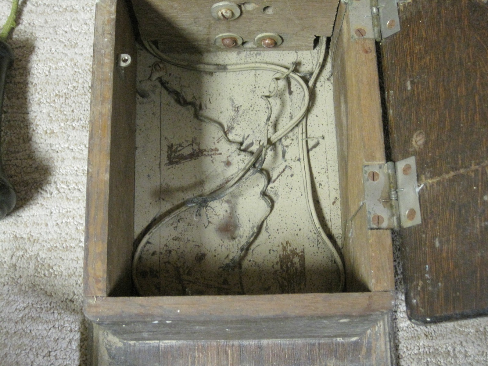 Bild 11 von 12