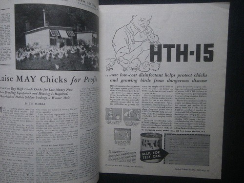 White Leghorn Poultry Magazine 1932 American Farm Bird Book, Used rr8 - Picture 3 of 3