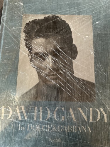 DAVID GANDY Dolce & Gabbana, Peter Howarth Rizzoli ,HARDBACK NEW