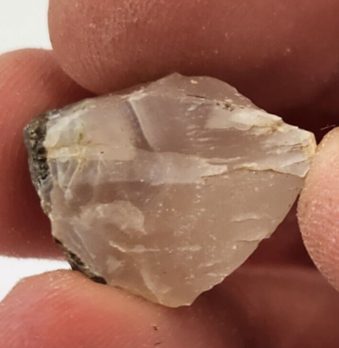 Agatized Petrified Wood Piece - Oregon - Miocene (?) - Fossil - Picture 1 of 5