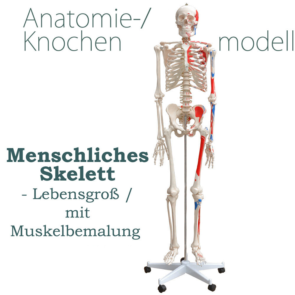 Bild 1 von 5