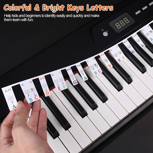 88/61 Keys Removable Piano Keyboard Note Labels Reusable Piano Key Note Stickers - Picture 3 of 22