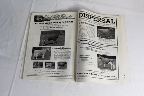 Guernsey Breeders Journal June 15, 1948 Cow Calf Bull Farms Cattle Dairy Ads - Picture 17 of 23