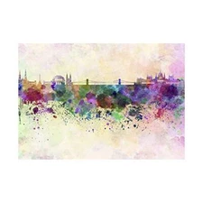 Wee Blue Coo Painting Cityscape Paint Splash Skyline Budapest Framed Wall Art Pr