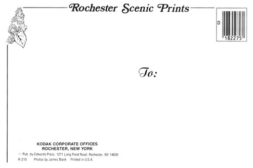 Kodak Corporate Offices Rochester New York Postcard Unposted - Picture 2 of 2