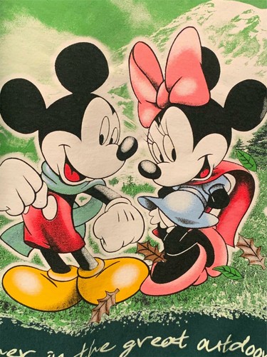 Sudadera De Colección Jerry Leigh Mickey Unlimited Disney Minnie RARA Excelente Exterior - Imagen 3 de 8