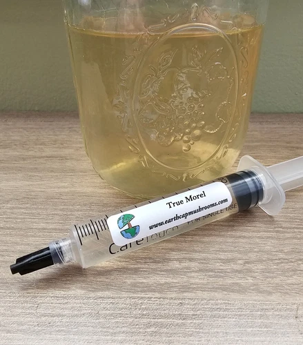 Morel Mushroom Liquid Cultures