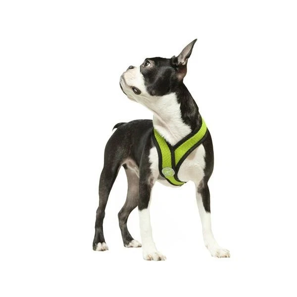 Gooby Comfort X Small Breed Dog Puppy Harness Breathable Choke Free Walking S L - Image 2 of 4