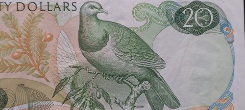New Zealand 20 dollars, 1977, ( Star) , H.R. Hardie, YJ 746929* , (P-167d) - Picture 11 of 14