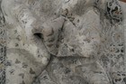 Bild 12 von 13