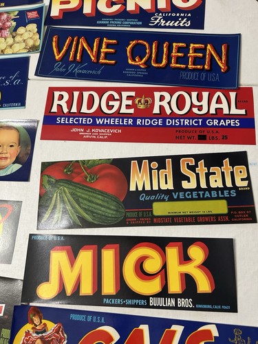 68 Vintage 1910’s 20s 30s ORIGINAL MINT Antique New FRUIT CISTE BOX LABELS Rare - Bild 19 von 23