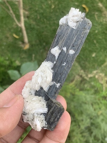 610 Gramm 4 Exemplare Konvolut Schorl Turmalin. - Bild 15 von 24