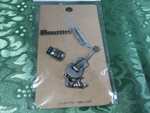 3D Tennessee USA Travel Tourist Souvenir America TN Set of 5 Lapel Pins New Gift - Picture 1 of 5