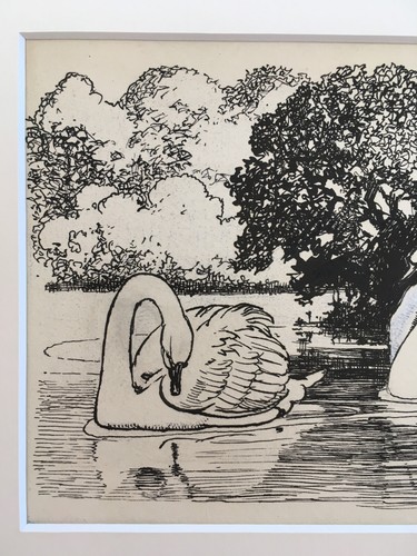 Original Pen & Ink John Hassall 1868-1948 Published Fairy Tale The Ugly Duckling - Picture 4 of 6