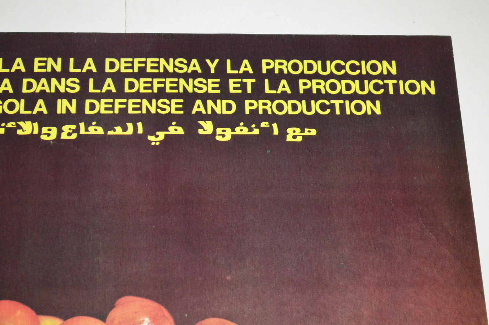 Imagen 3 de 6