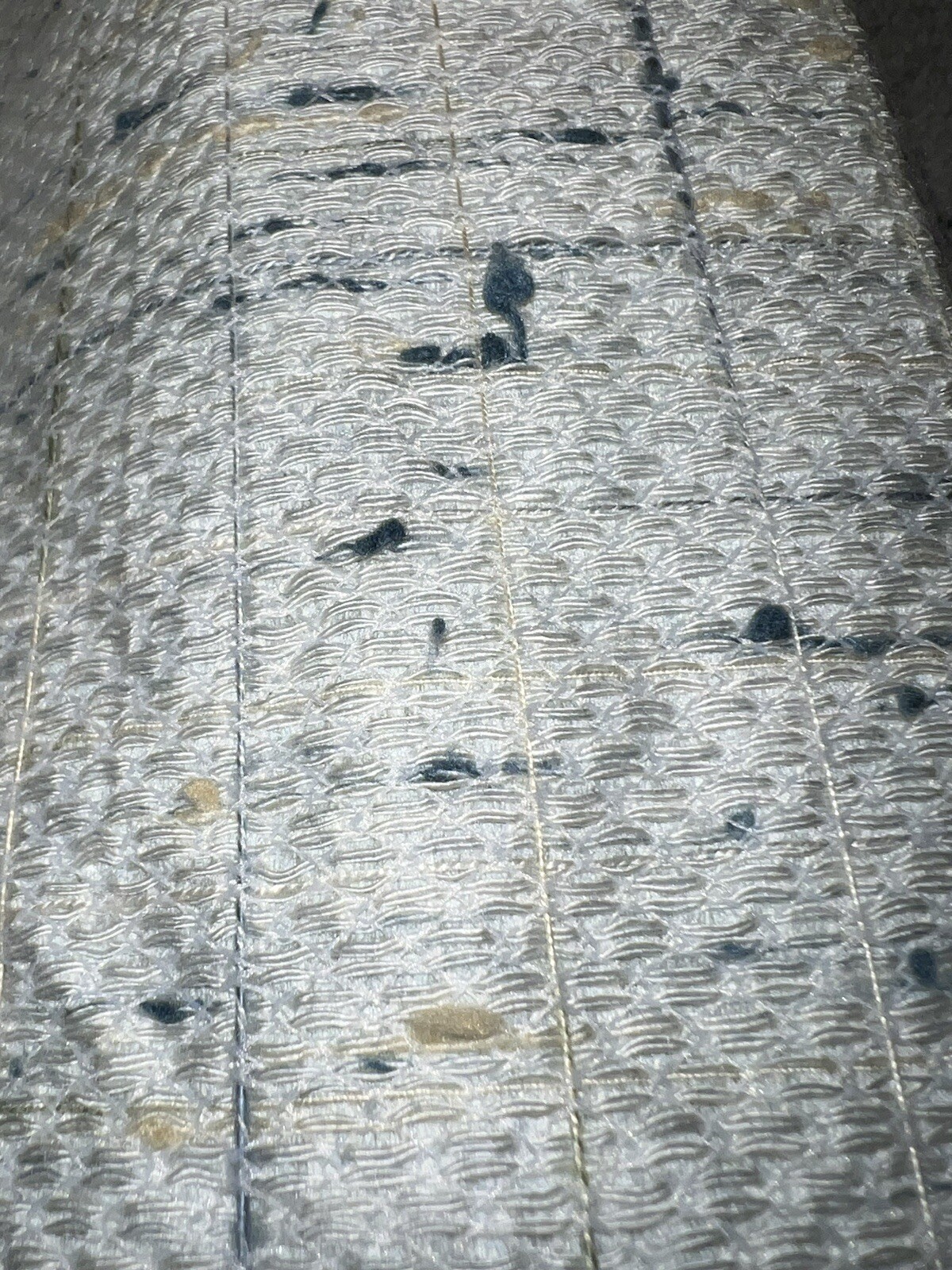 Picture 8 of 11
