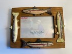 Gund Gifts Trout 4” X 6” Lesin  Frame From The Tackle Box