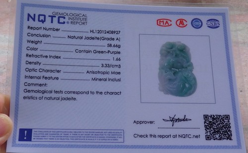 Video Certified Green Natural A Jade jadeite Pendant Horse Monkey Coin 684993 AS - Picture 6 of 7