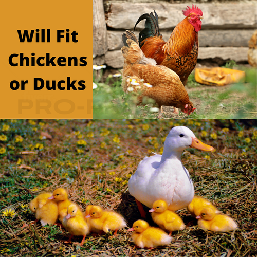 Great coupon Automatic Chicken Coop Door Opener Controller 