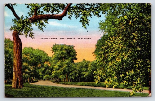 Postcard Trinity Park, Fort Worth, Texas  - Picture 1 of 2