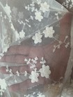 Bild 11 von 11
