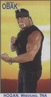 2010 TRISTAR Obak - Hulk Hogan #45