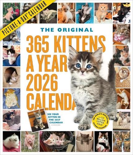 365 Kittens-A-Year Picture-A-Day Wall Calendar 2026 - 9781523530427 - Afbeelding 1 van 1