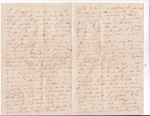 XX240-AGRICOLTURA-LUIGI TANARI SINDACO DI BOLOGNA-AUTOGRAFO - Picture 2 of 2