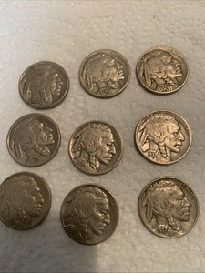 Nine Buffalo Head Nickels