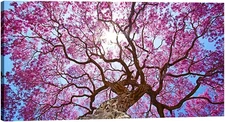 Cherry Blossom Tree Large Modern Floral Giclee Canvas Prints on Stretched Landsc