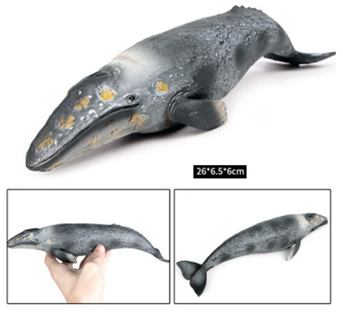 26cm Gray Whale PVC Toy Fish Ocean Sea Animal Figure Doll Kids Gift - Picture 7 of 7