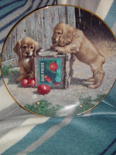 1987 Double Take Puppy Playtime Plate By River Shore - Picture 6 of 8