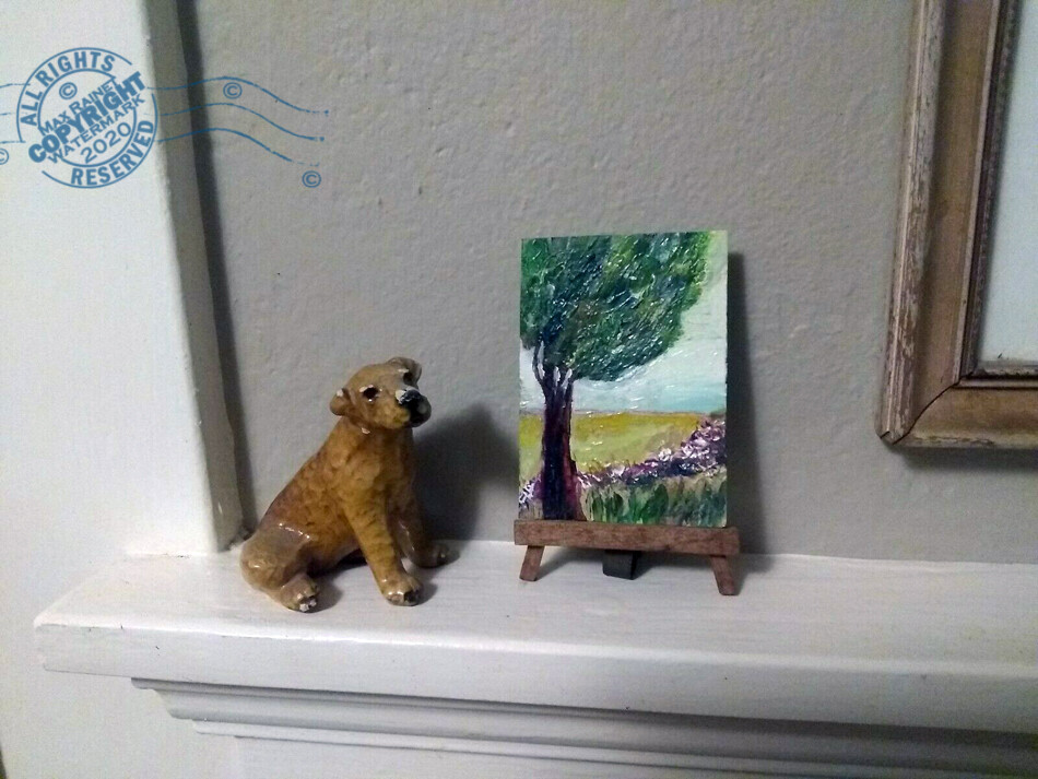 Picture 8 of 12