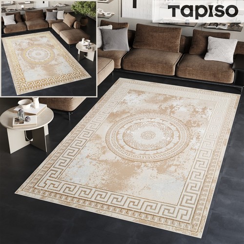 Teppich Kurzflor Glänzend Beige Creme Rahmen Rosette Klassisch 3D Effekt ÖKOTEX - Bild 1 von 13