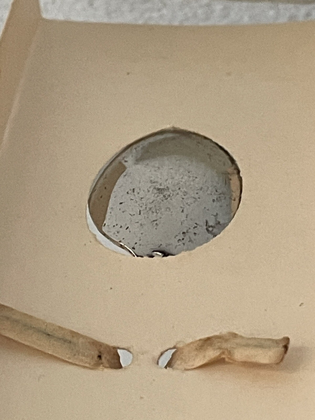 Picture 10 of 11