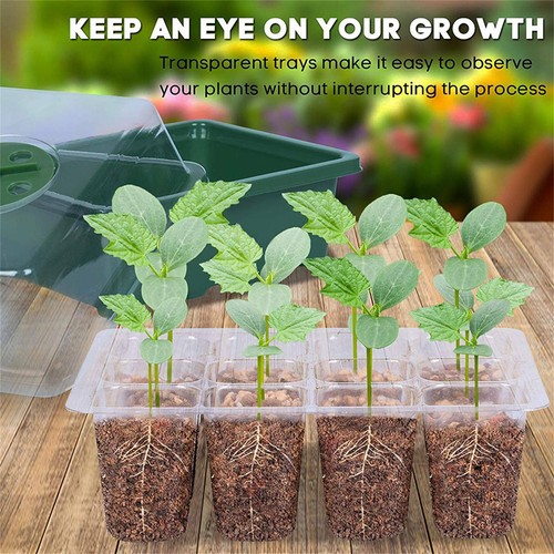 20 Sets 12 Hole Plant Seeds Grow Box Propagation Nursery Seedling Starter Tray A - Picture 2 of 12