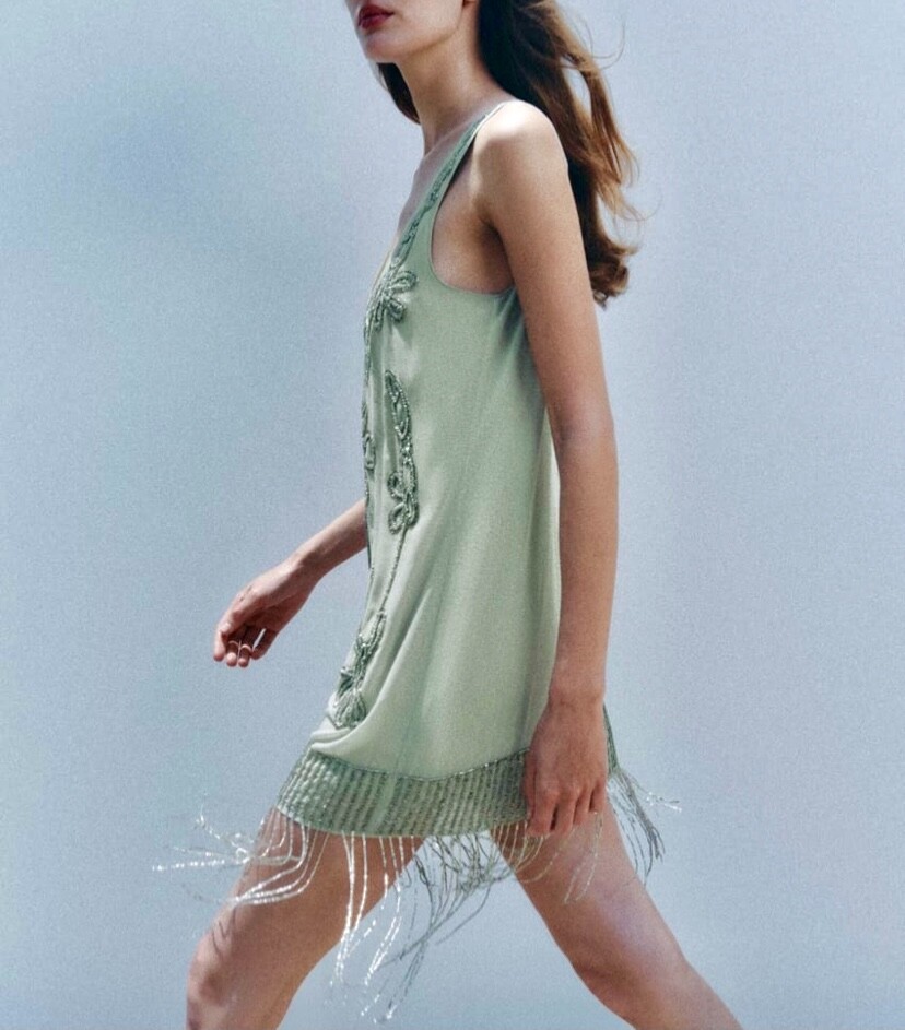 Zara Embroidered Beaded Sequin Tassel Fringe Dress Outfit