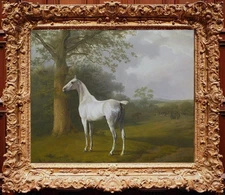 Handmade old master Antique Oil Painting art Animal Grey racehorse on canvas