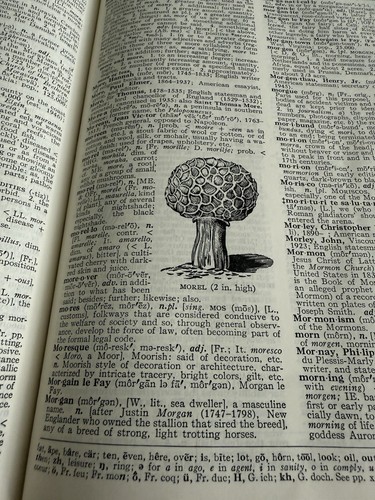 *Vintage*Webster's New World Dictionary of the American Language College Edition - Photo 7/18