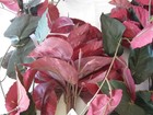 Lot of RED & GREEN Artificial Floral BUSH LEAVES Tree Branches Greenery Decor — photo 4